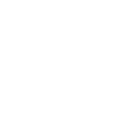 AI > Accelerates execution, compounds results
